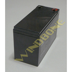 Replacement Battery for BST-12 Electric Kite Pump